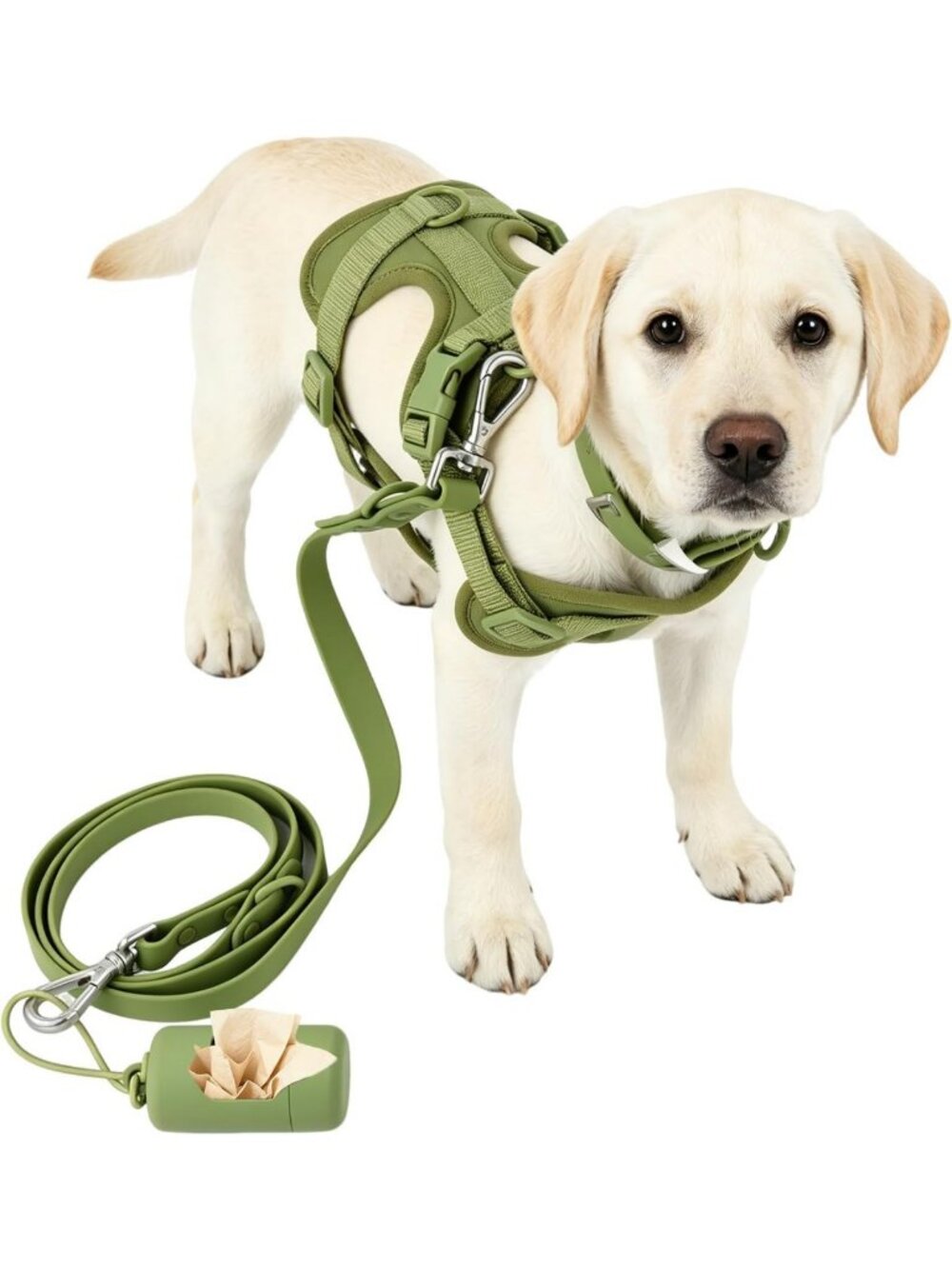 Adjustable 4-in-1 No Pull Dog Harness Set with Leash, Collar & Poop Bags